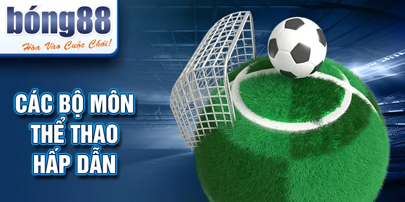 Các bộ môn thể thao hấp dẫn